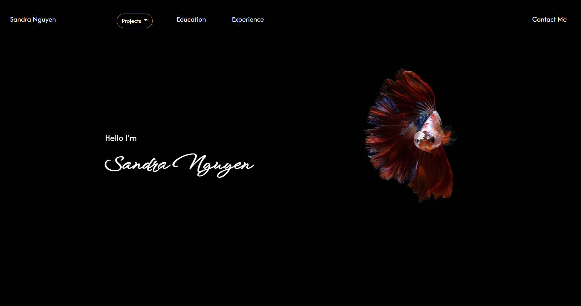 Sandra Nguyen's submission from Devpost